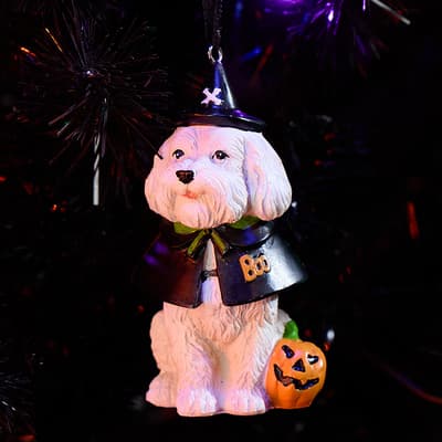 Dog In Witch Costume Ornament