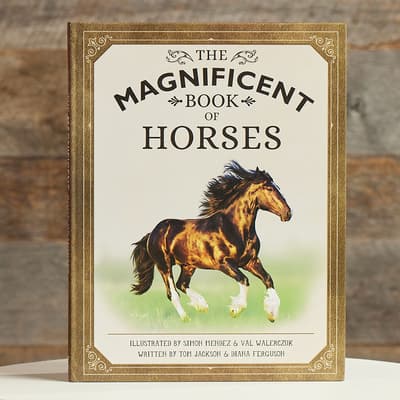The Magnificent Book of Horses
