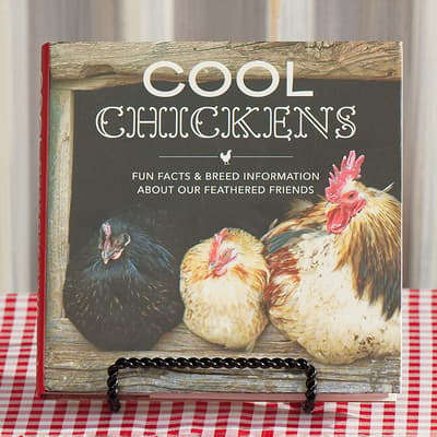 Cool Chickens Book