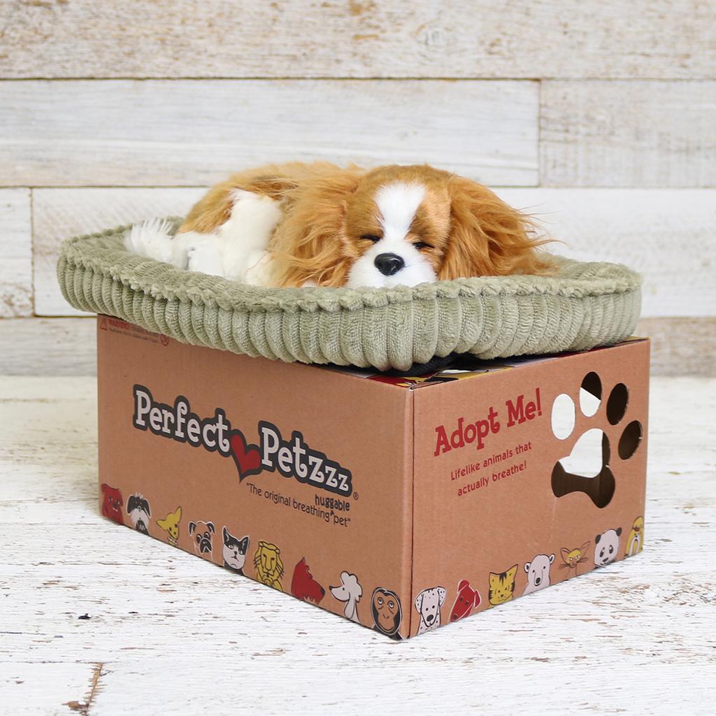 Perfect petzzz cavalier store king charles plush