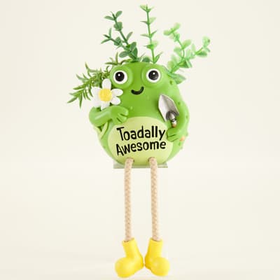 Frog Mini Planter Sitter