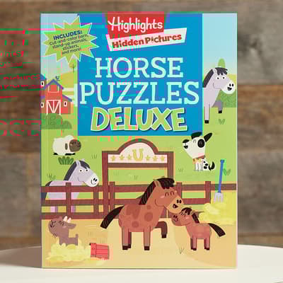Hidden Pictures Horse Puzzles Deluxe Book