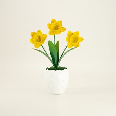 Yellow Daffodils in Pot