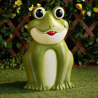 Frog Blow Mold