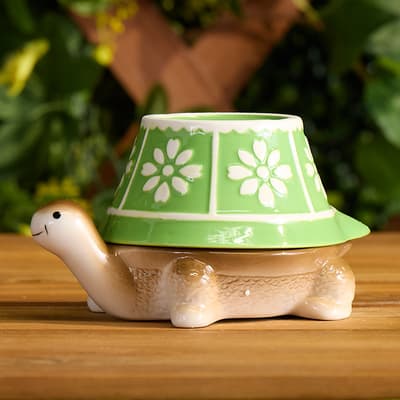 Turtle Measuring Cup Set