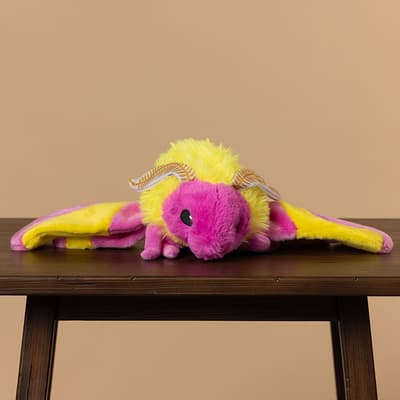 Pink and Yellow Rosy Maple Moth