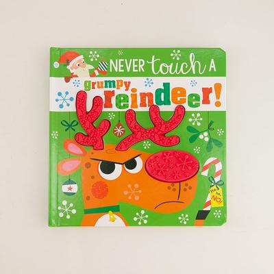 Never Touch a Grumpy Reindeer Book
