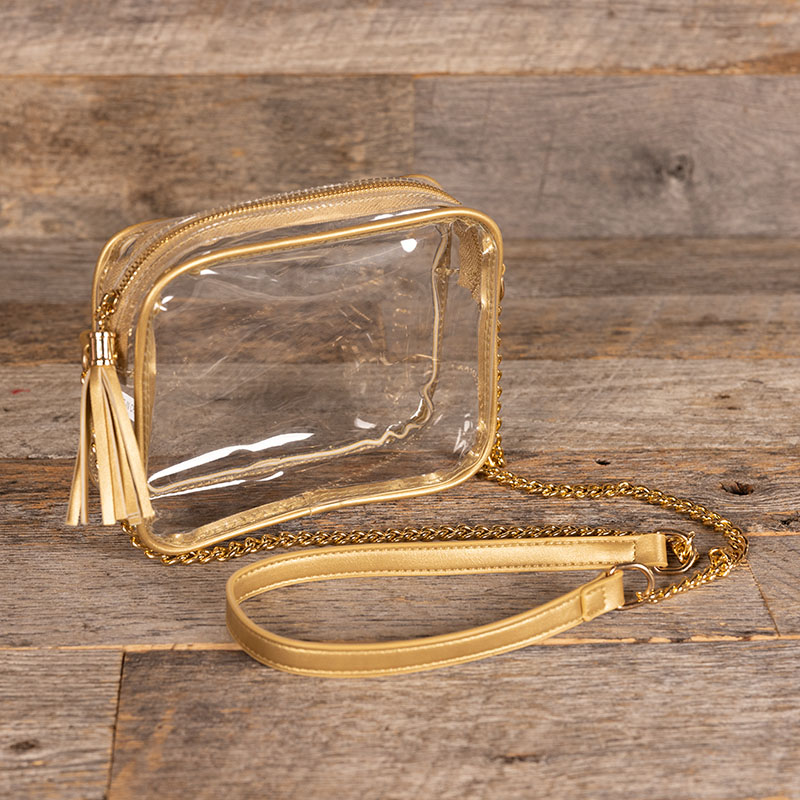 Clear crossbody bag with gold chain best sale