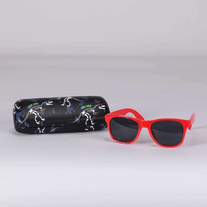 Accessorize best sale glasses case