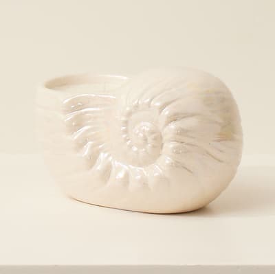 Glazed Conch Filled Candle