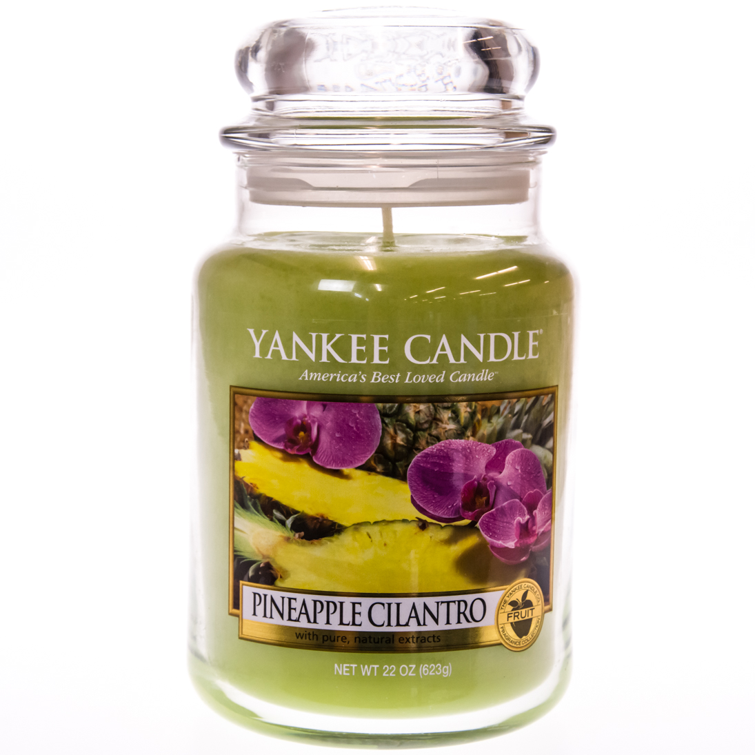 Yankee Candle reg; Pineapple Cilantro Large Jar Candle Home Furniture