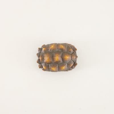 Brown Faux Turtle Shell