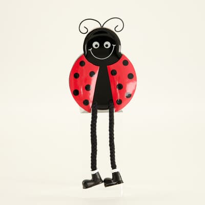 Ladybug Sitter - Boy