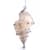 Hanging Seashell Lamp