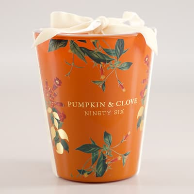 DW 11.4 Oz. Gardyn Pumpkin and Clove Candle