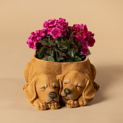Puppy Dogs Planter