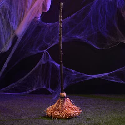 Enchanted Moving Broom