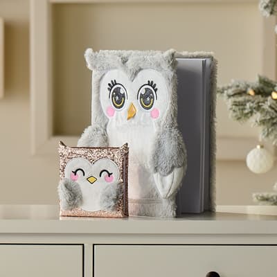 Jumbo and Mini Owl Drawing Book Set