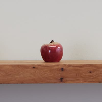 Apple Mini Salt Shaker