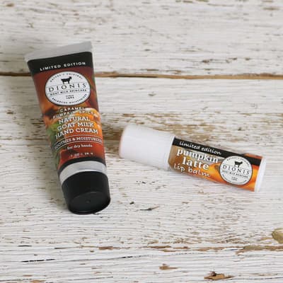 Dionis Pumpkin Spice Lip Balm and Hand Cream Set