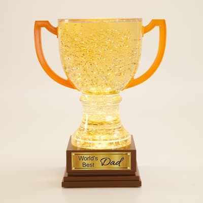 Worlds Best Dad Glitter Globe