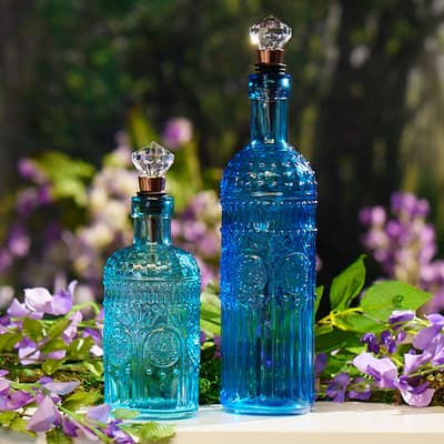 Set Of 2 Glass Bottles