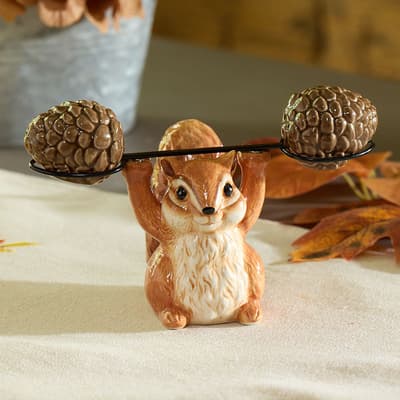 Chipmunk with Pinecones Salt and Pepper Set
