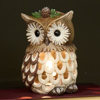 Owl Accent Light