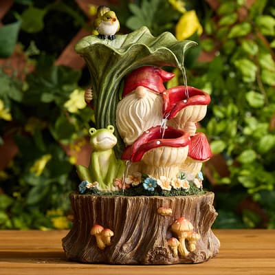 Gnome Fountain