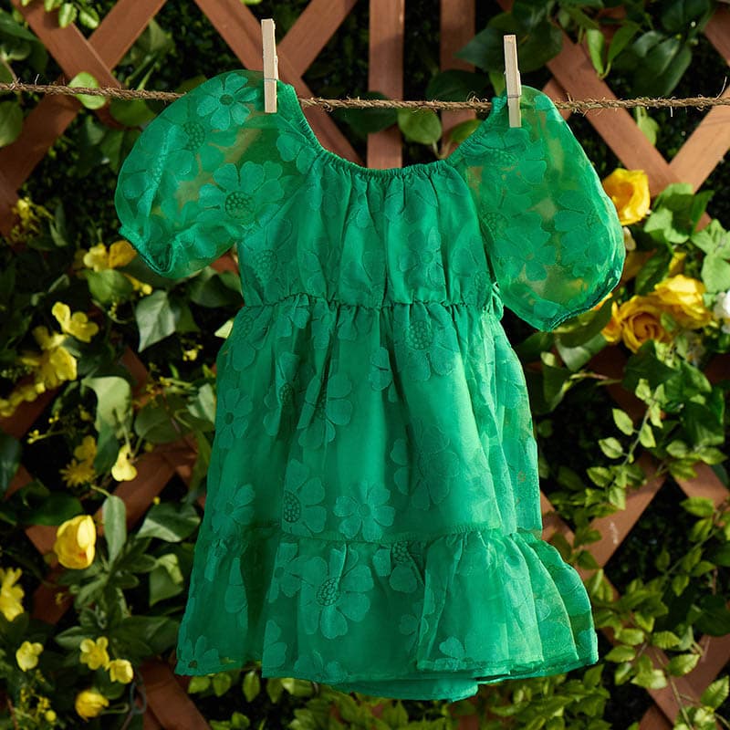 Toddler Floral Burnout Dress - Cracker Barrel