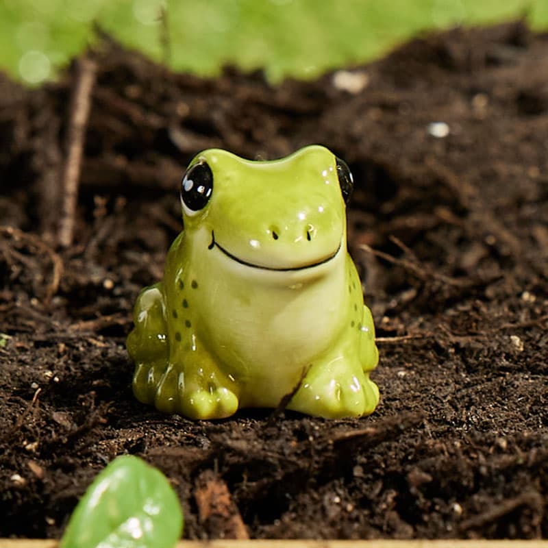 Mini frog 