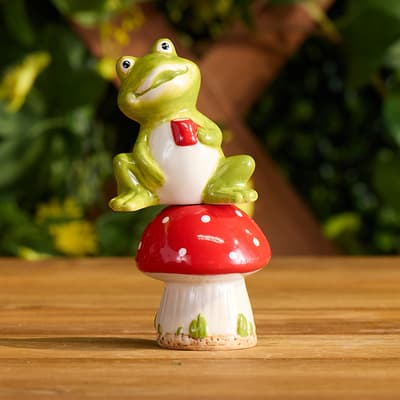 Frog on Mushroom Salt and Pepper Set