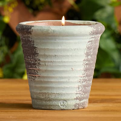 12 Oz. Herban Garden Candle