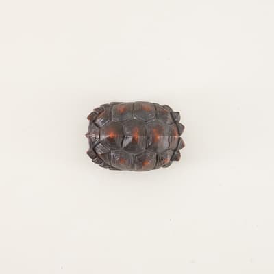 Black Faux Turtle Shell