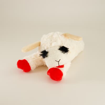 10.5" Medium Lambchop