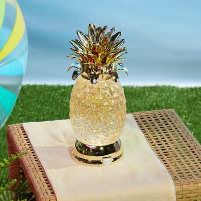 Acrylic Pineapple Glitter Globe
