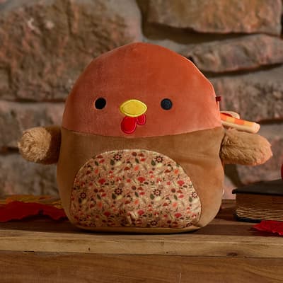 8 Inch Turkey Squishmallow - Gobrianna