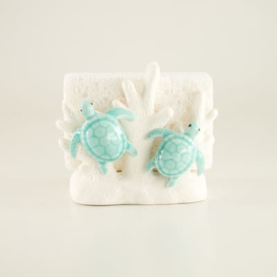 Ceramic Turtle Sponge Holder