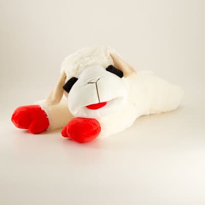 24" Large Lambchop
