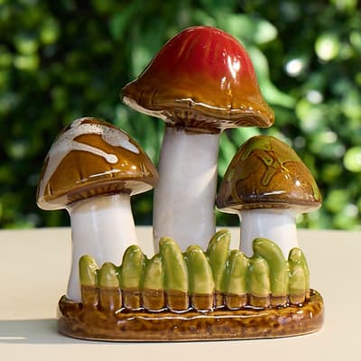 Mushrooms Salt And Pepper with Holder