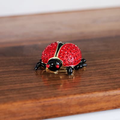 Ladybug Decorative Box