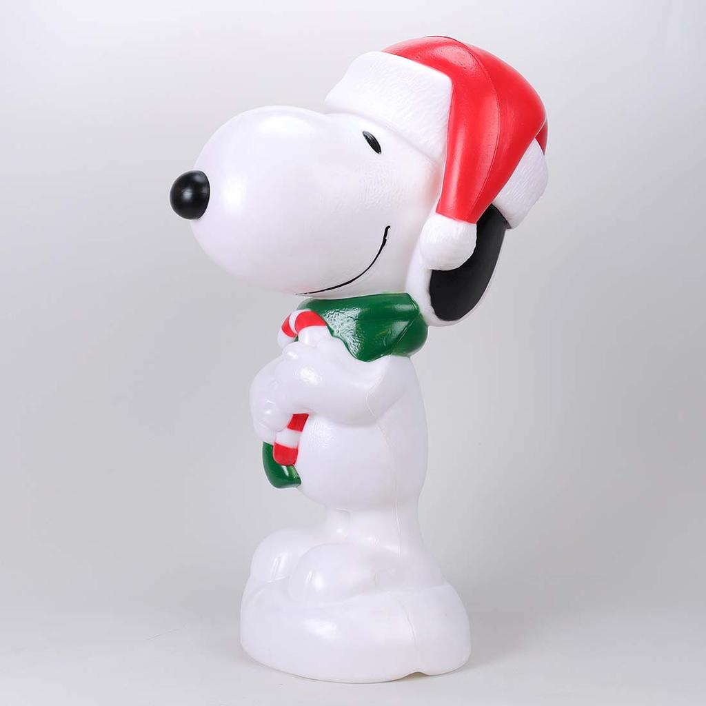 Blow selling mold snoopy