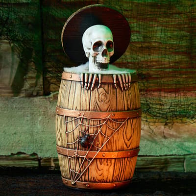 Animated Skeleton in Barrel