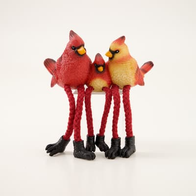 Cardinal Family Sitter