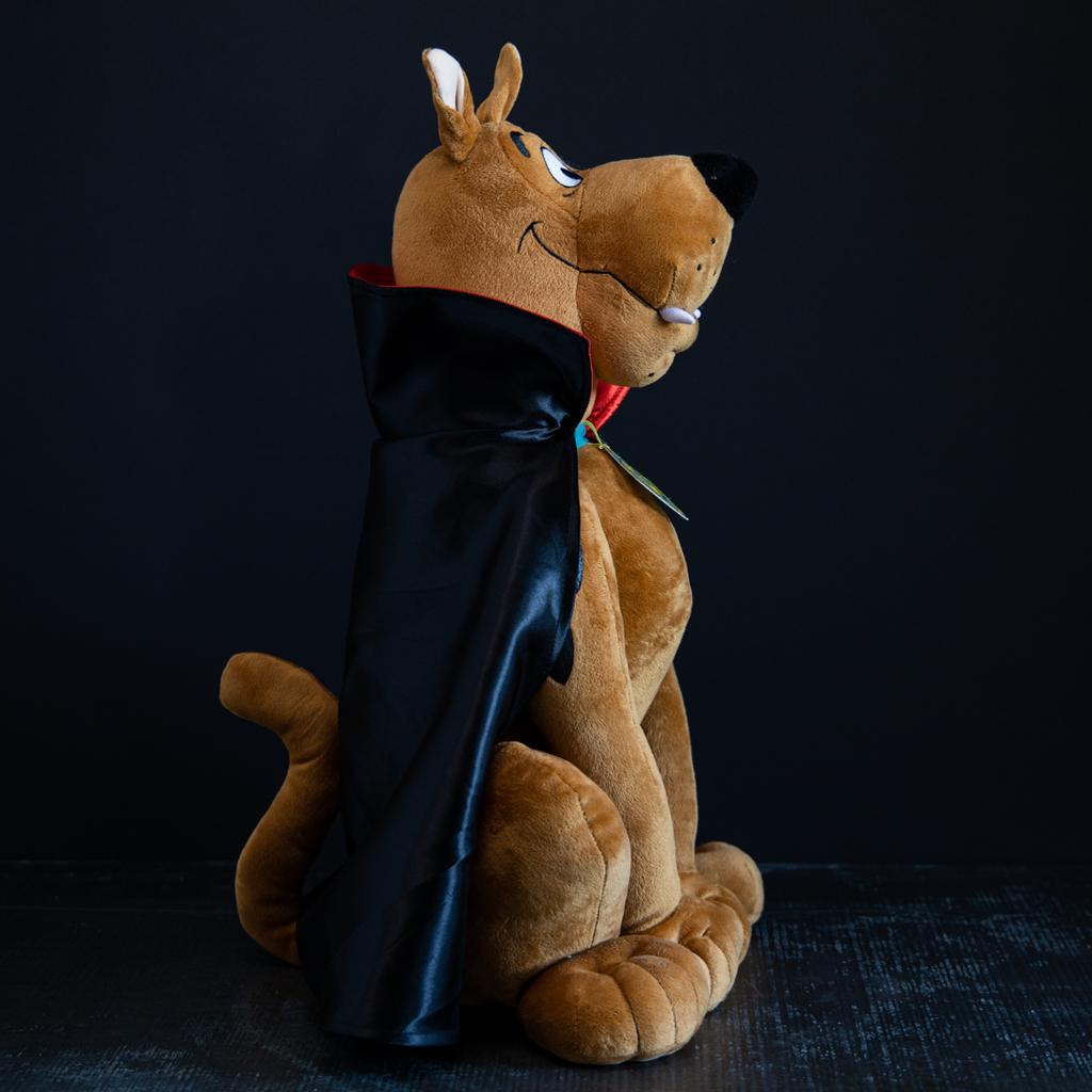 Preowned Scooby Doo wizard Plush Toy — JtsHeroeShop