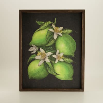Limes Canvas Wall Decor