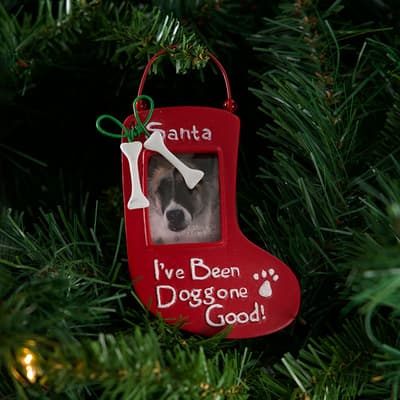Pet Stocking Frame Ornament - Bone