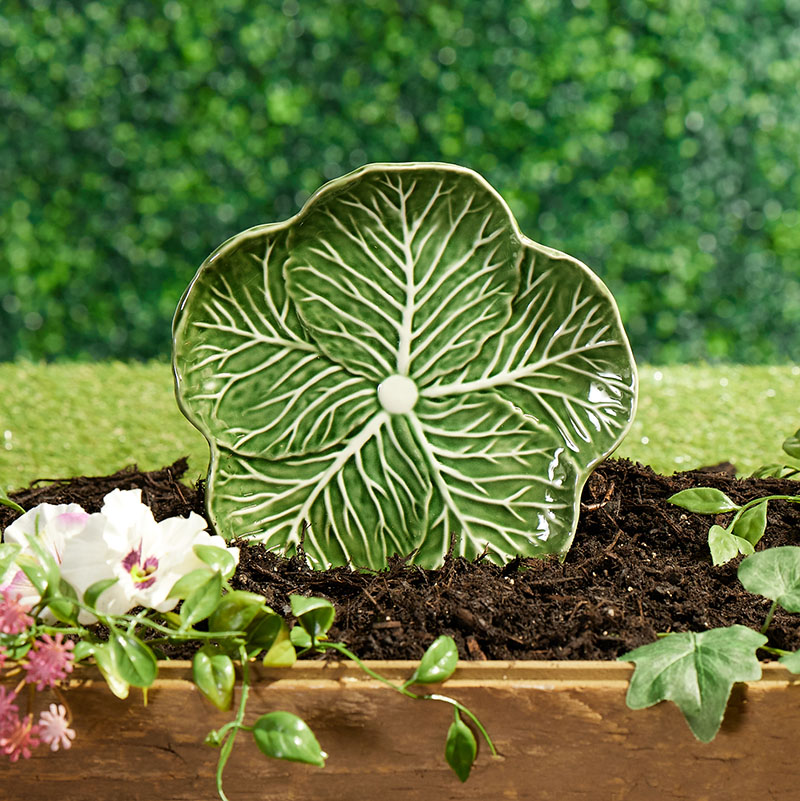 Cabbage Salad Plate Cracker Barrel