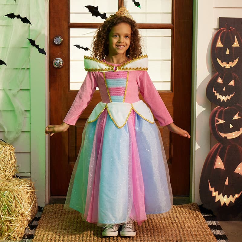 Blue and Pink Princess Costume Cracker Barrel