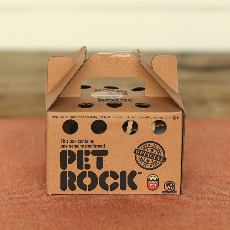 Fashion pet rock supplies